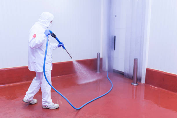 Best Post-Construction Pressure Washing  in Ruch, OR