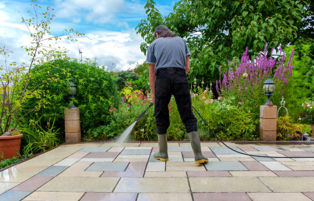 Best Pre-Holiday Cleaning  in Ruch, OR